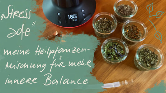 Stress ade - meine Heilpflanzen-Mischung für mehr innere Ruhe und Balance