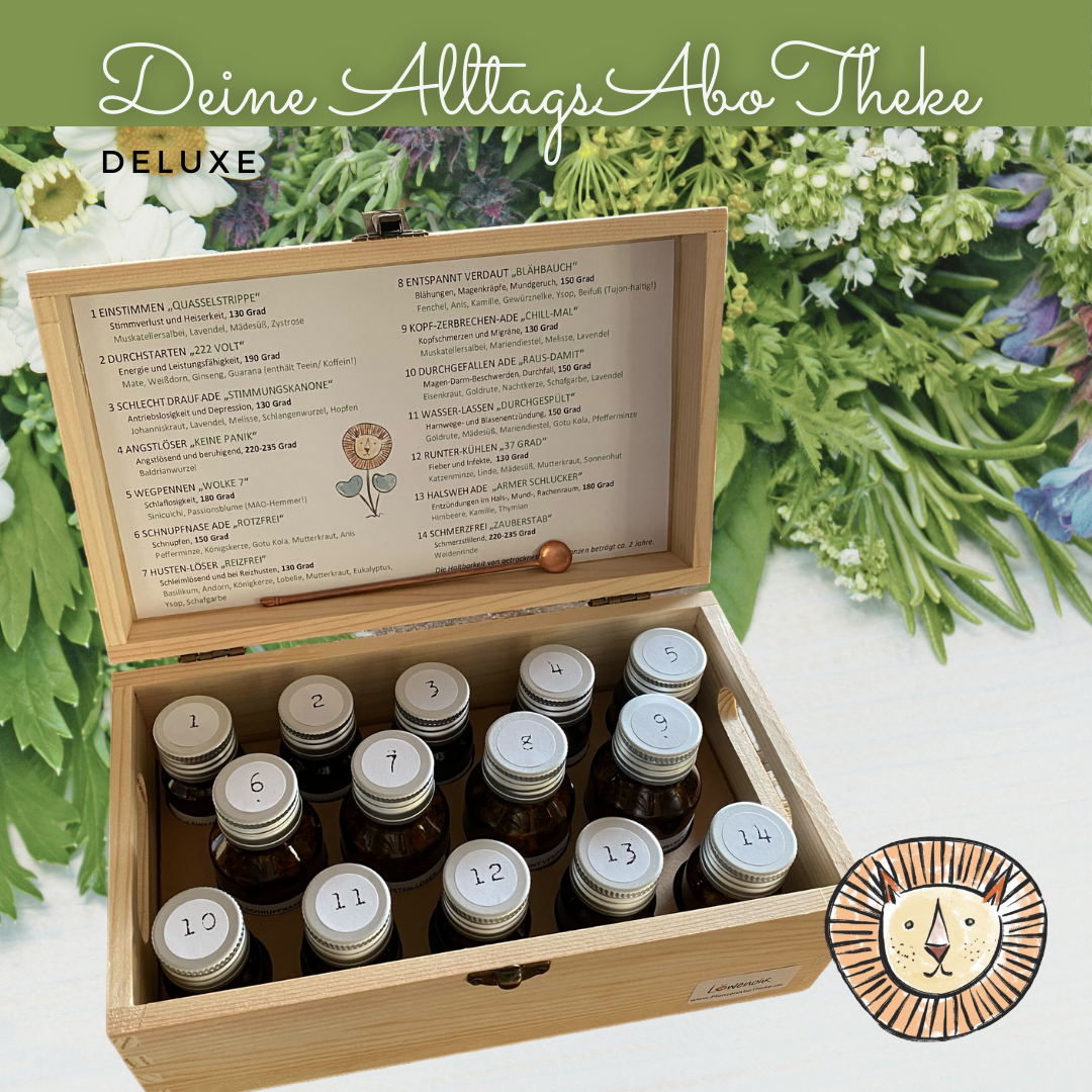 AlltagsAboTheke "Deluxe"