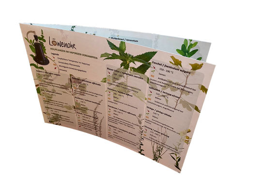 Heilpflanzenübersicht, mit mehr als 55 Pflanzenportraits