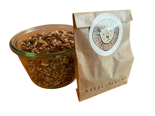 Angelica root / angelica root / angelica archangelica l.