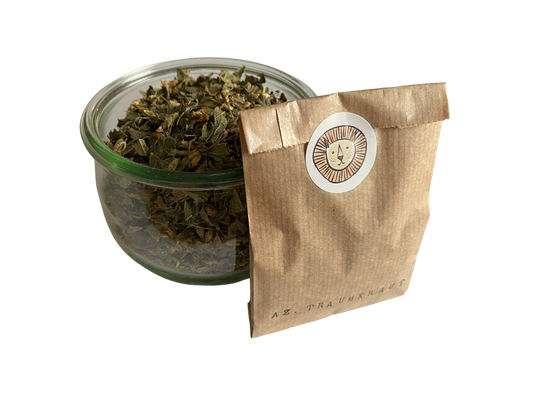 Aztec dream grass / dream herb / calea zacatechichi, calea ternifolia