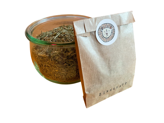 horsetail / field horsetail / common horsetail / Equisetum adverse