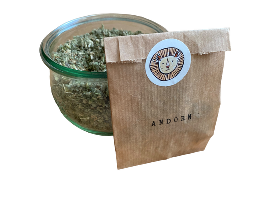 Horehound / marrubim vulgare