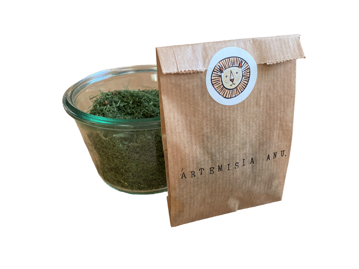 Artemisia / artemisia annua (Beifuß einjährig)