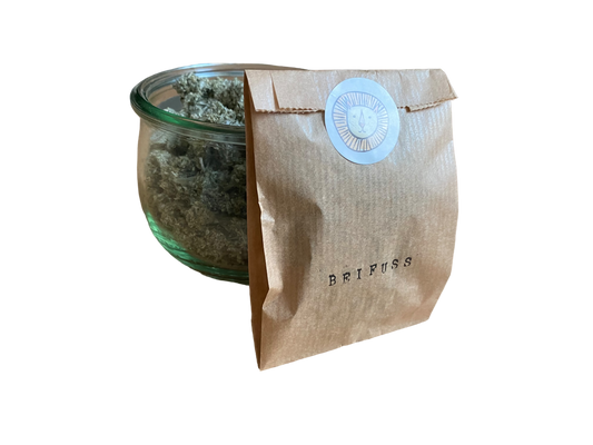 Mugwort / artemisia vulgaris