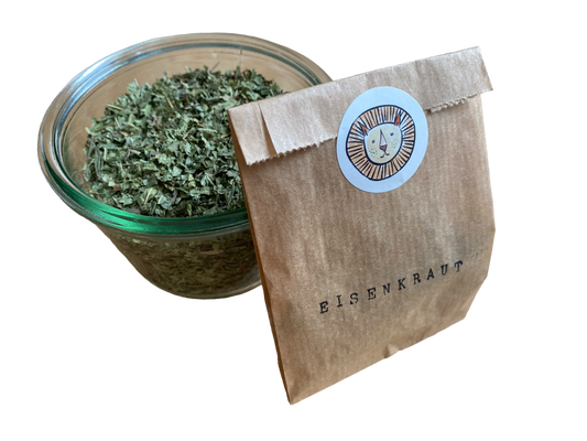 Verbena / verbena officinalis