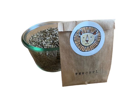 Fenchel / foeniculum vulgare