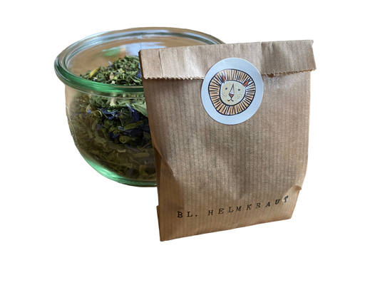 Blue skullcap / Baikal skullcap