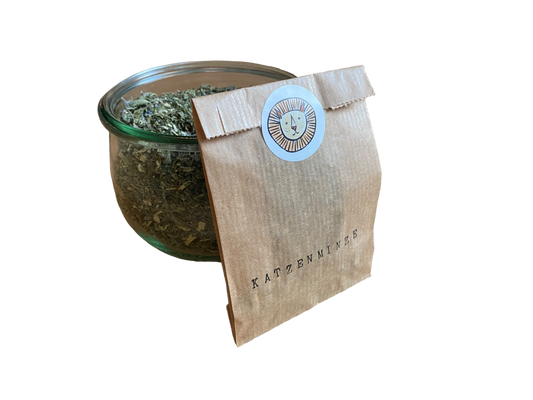 Catnip (real) / nepeta cataria