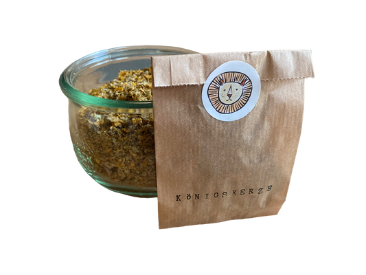 Mullein / verbascum thapsus etc