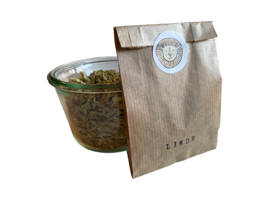 Linden / tilia cordata