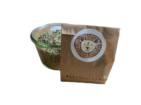 Milk thistle / silybum marianum