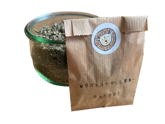 Clary sage / salvia sclarea