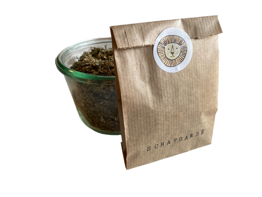 Yarrow / Achillea millefolium