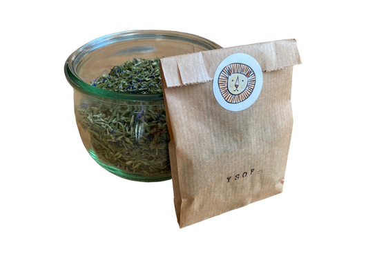 Hyssop / hyssopus officinalis