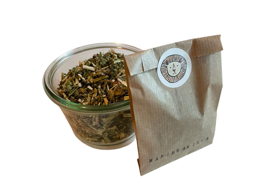 Lion's ear (African) / leonotis leonurus