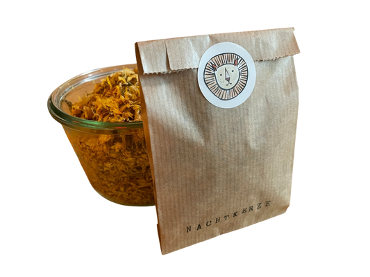 Evening primrose (common) / oenothera biennis