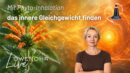 Löwenohr live