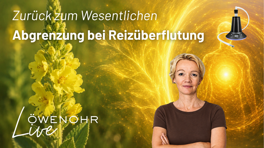 Zurück zum Wesentlichen – Abgrenzung aus Reizüberflutung