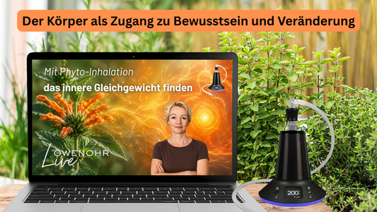 Löwenohr live