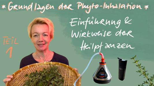 Grundlagen der Phyto-Inhalaltion, Teil 1: Einführung & Wirkweise der Heilpflanzen