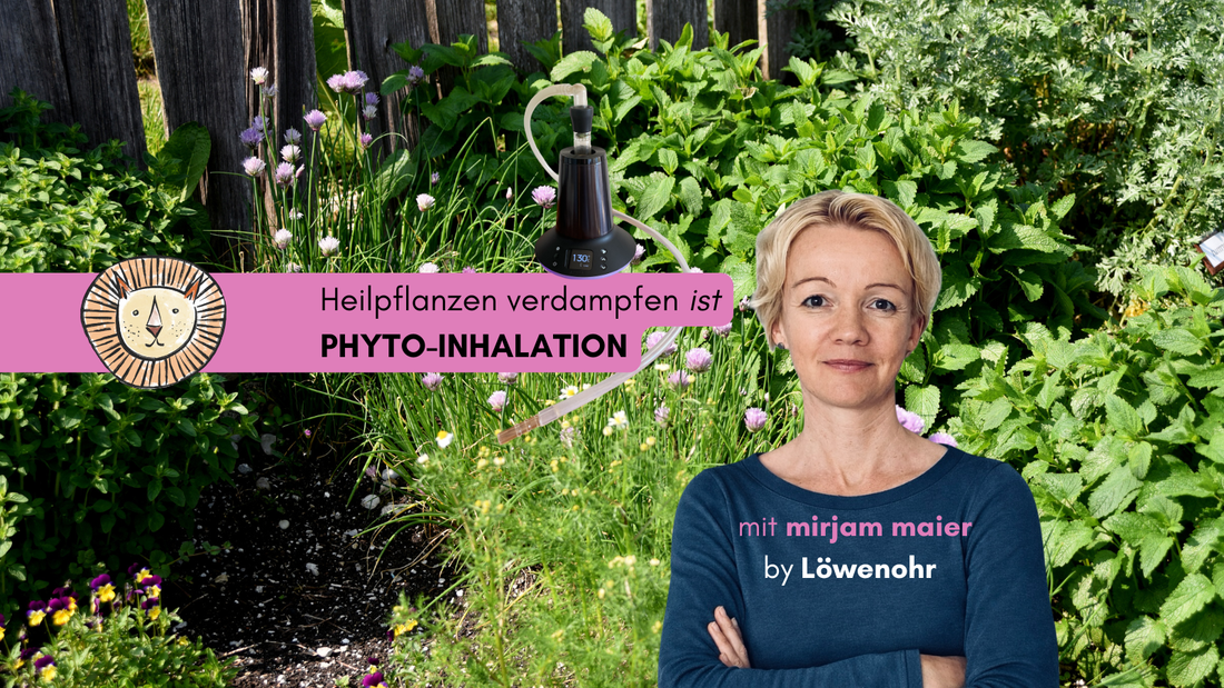 Die YouTube-Inventur