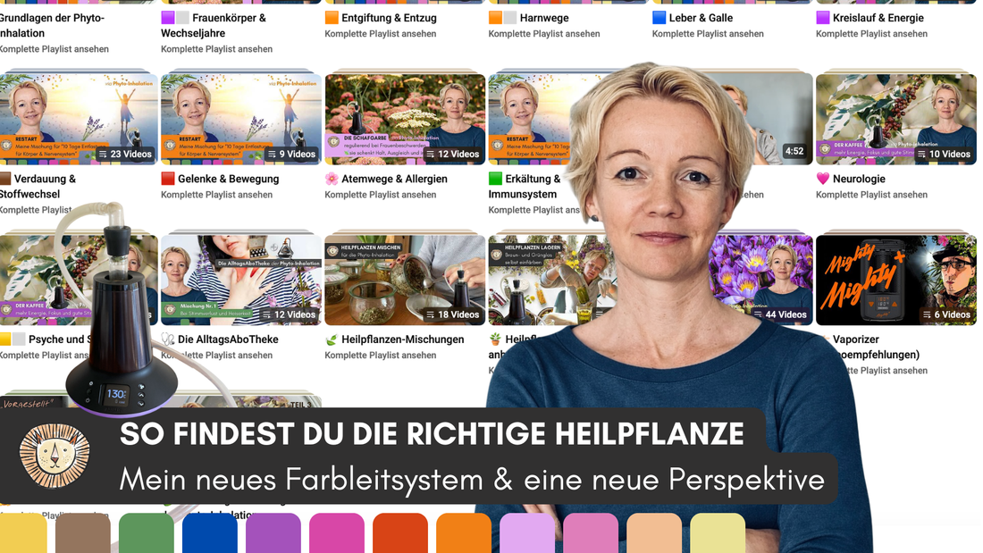 Mein neues Farbleitssystem & eine neue Perspektive
