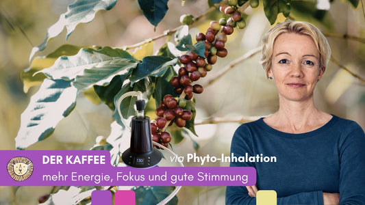 Der Kaffee – mehr Energie, Fokus und gute Stimmung
