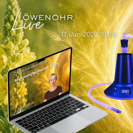 Löwenohr live | 17.06.2026 | Zurück zum Wesentlichen, Abgrenzung aus Reizüberflutung