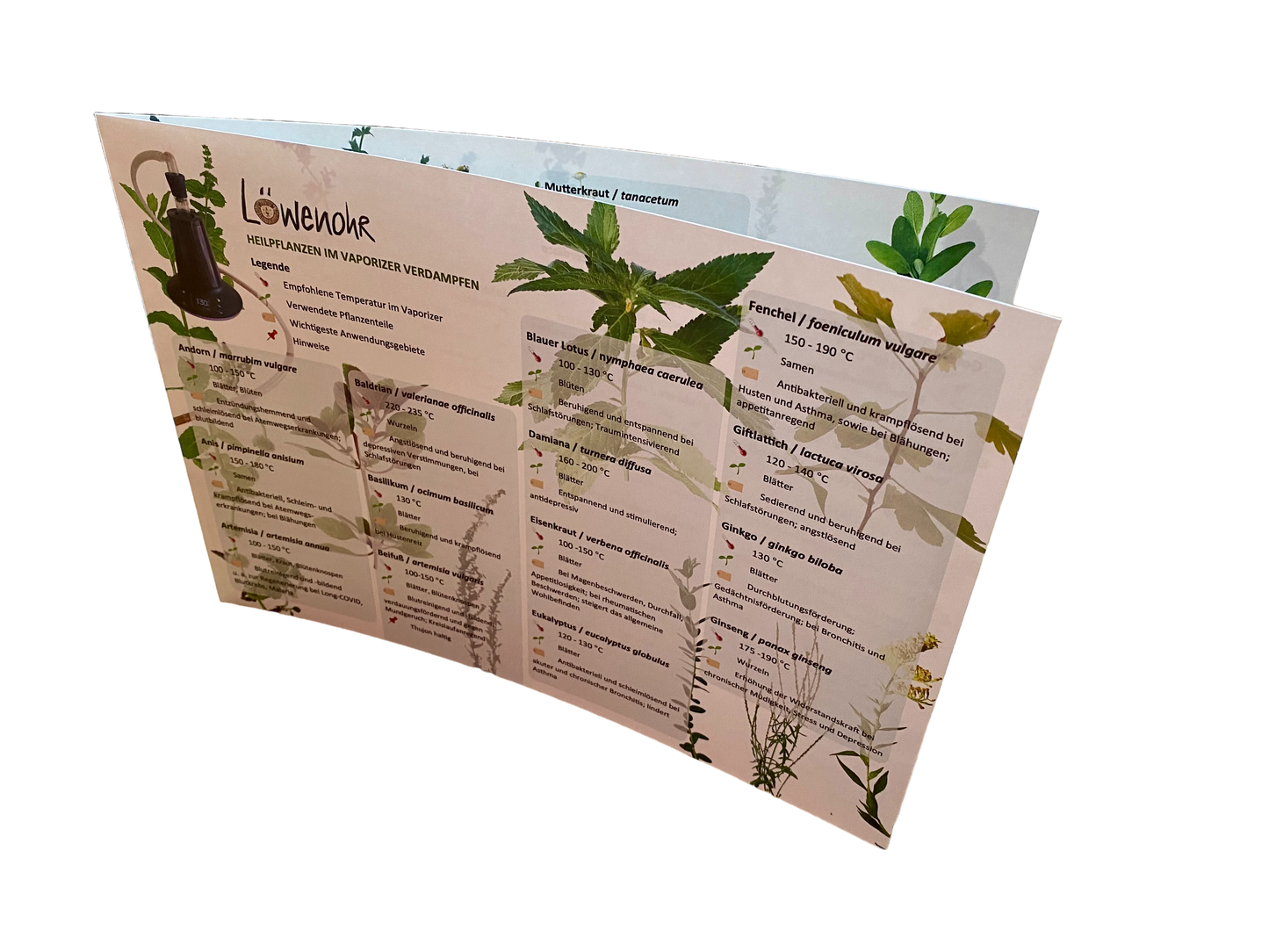 Medicinal plant overview, with more than 55 plant portraits 