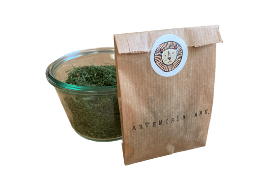 Artemisia / artemisia annua (artemisia annual) 